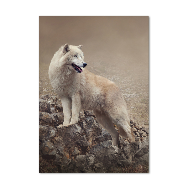 Cuadro decorativo en acrílico brillante vertical Lobo en una roca