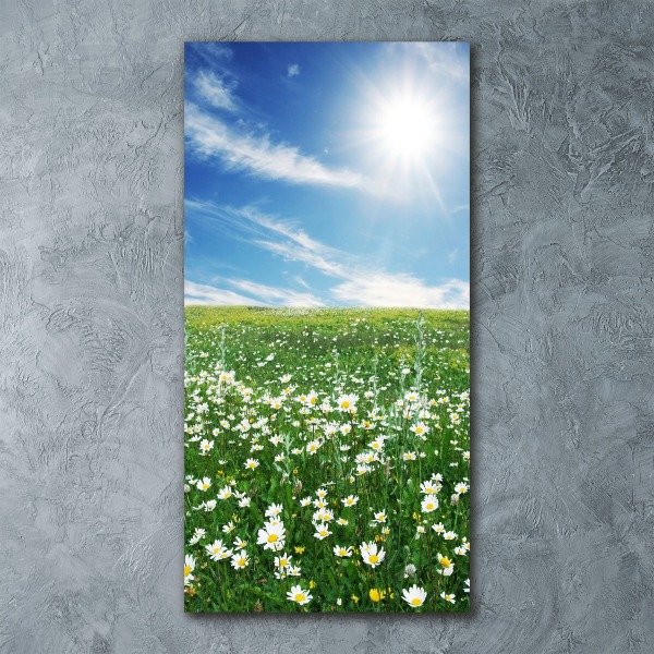 Cuadro de metacrilato vertical Prado