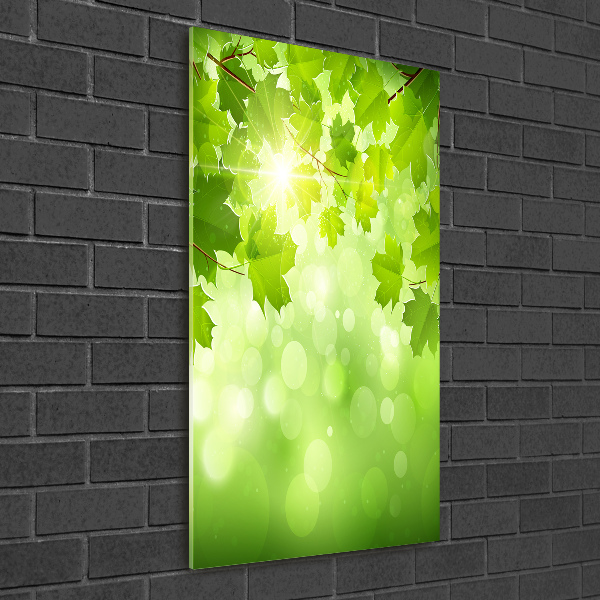 Impresión en metacrilato de alta calidad vertical hojas verdes