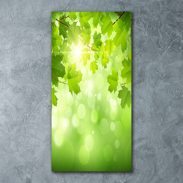 Impresión en metacrilato de alta calidad vertical hojas verdes