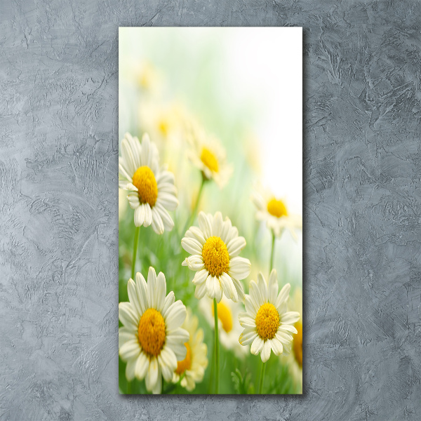 Cuadro de metacrilato vertical margaritas