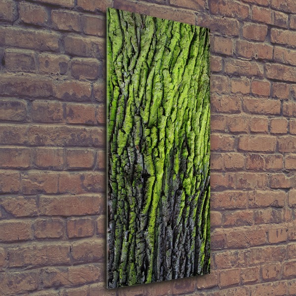 Cuadro de metacrilato moderno efecto cristal vertical corteza de árbol