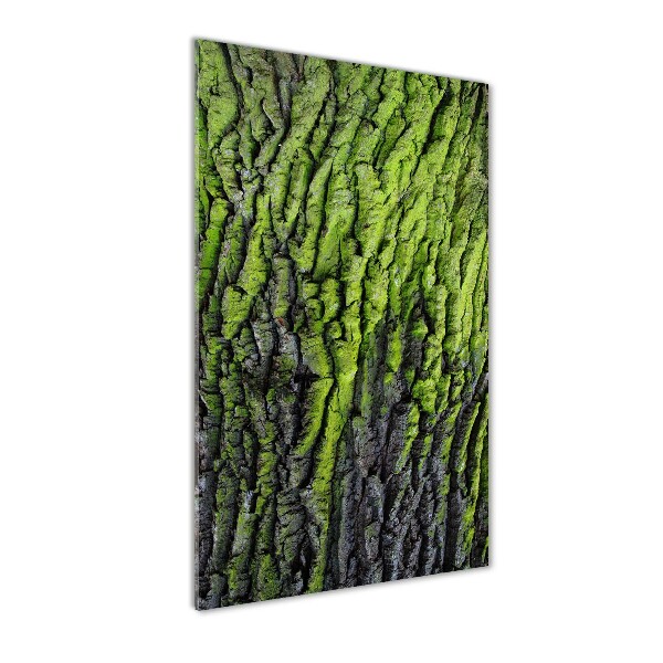 Cuadro de metacrilato moderno efecto cristal vertical corteza de árbol