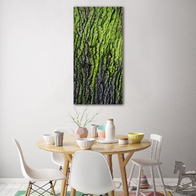 Cuadro de metacrilato moderno efecto cristal vertical corteza de árbol