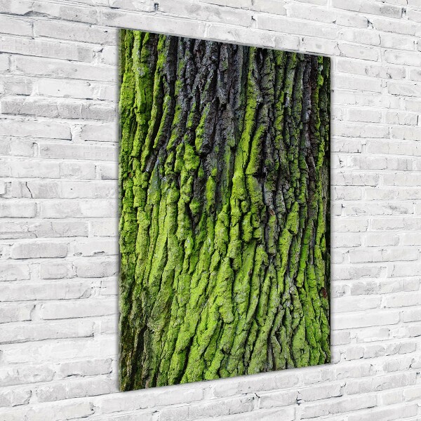 Cuadro de metacrilato moderno efecto cristal vertical corteza de árbol