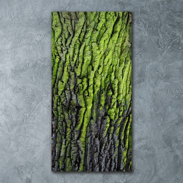 Cuadro de metacrilato moderno efecto cristal vertical corteza de árbol