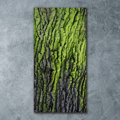 Cuadro de metacrilato moderno efecto cristal vertical corteza de árbol