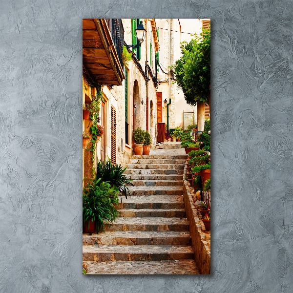Cuadro de metacrilato vertical Calles en España