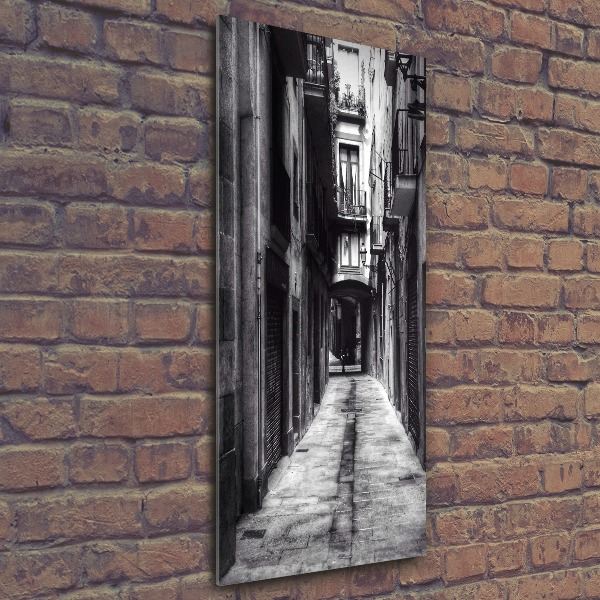 Cuadro decorativo en acrílico brillante vertical Barcelona, ​​España