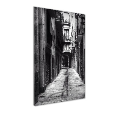 Cuadro decorativo en acrílico brillante vertical Barcelona, ​​España