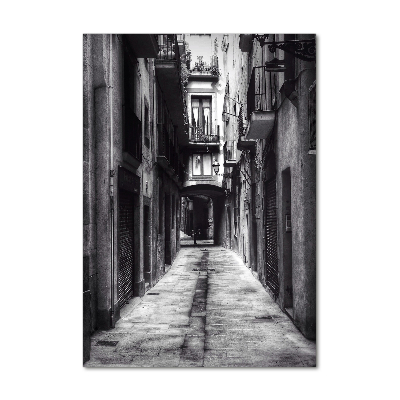 Cuadro decorativo en acrílico brillante vertical Barcelona, ​​España