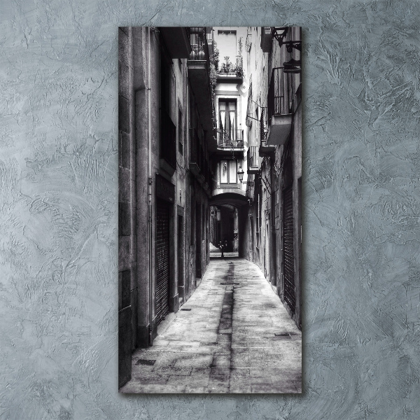 Cuadro decorativo en acrílico brillante vertical Barcelona, ​​España