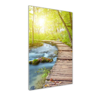 Cuadro de metacrilato moderno efecto cristal vertical Camino en el bosque