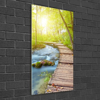 Cuadro de metacrilato moderno efecto cristal vertical Camino en el bosque