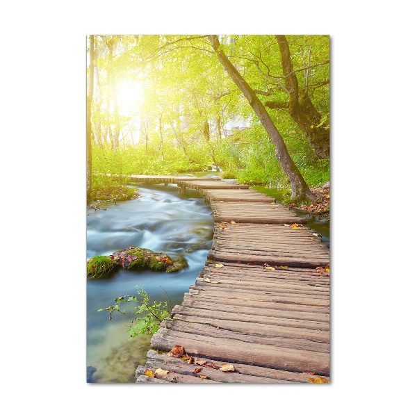 Cuadro de metacrilato moderno efecto cristal vertical Camino en el bosque