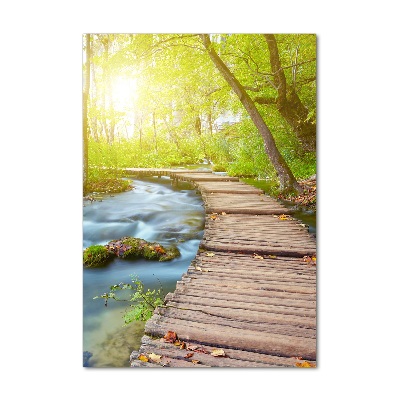 Cuadro de metacrilato moderno efecto cristal vertical Camino en el bosque