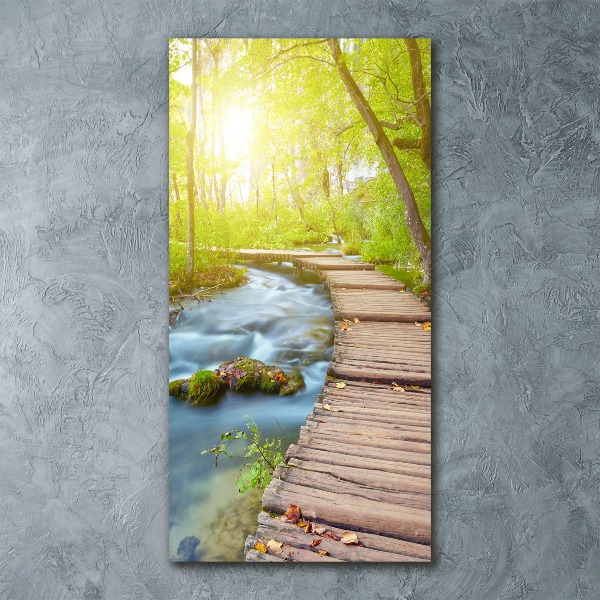 Cuadro de metacrilato moderno efecto cristal vertical Camino en el bosque