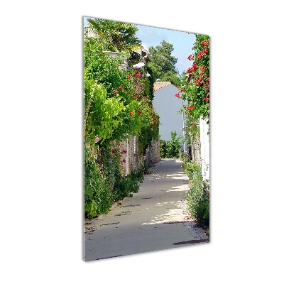 Cuadro decorativo en acrílico brillante vertical calles francesas