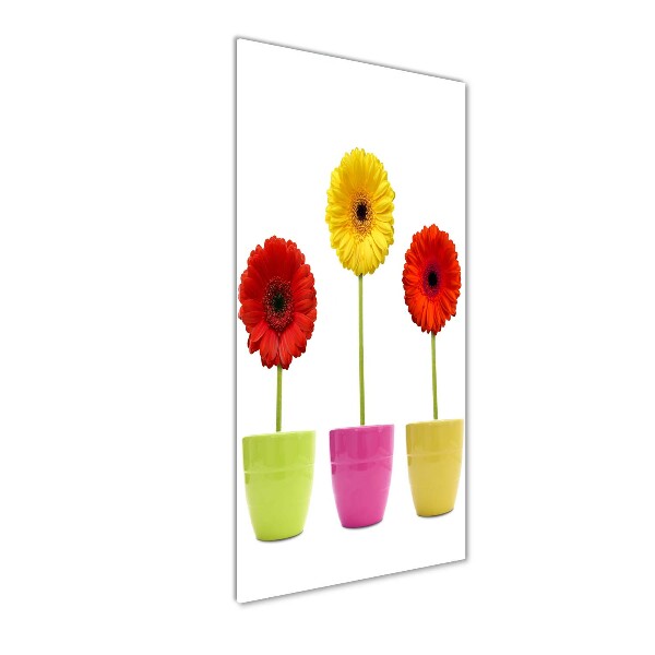 Cuadro decorativo en acrílico brillante vertical Gerberas de colores