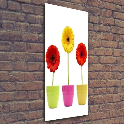Cuadro decorativo en acrílico brillante vertical Gerberas de colores