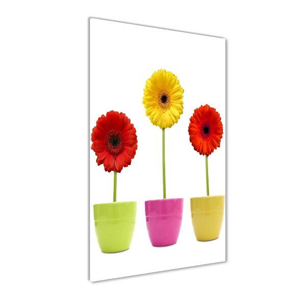 Cuadro decorativo en acrílico brillante vertical Gerberas de colores