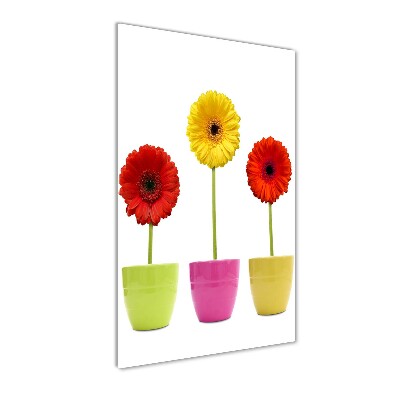 Cuadro decorativo en acrílico brillante vertical Gerberas de colores