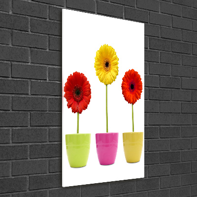 Cuadro decorativo en acrílico brillante vertical Gerberas de colores