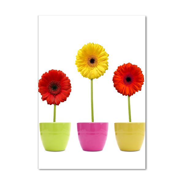 Cuadro decorativo en acrílico brillante vertical Gerberas de colores