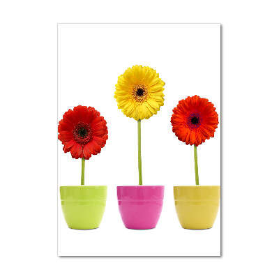 Cuadro decorativo en acrílico brillante vertical Gerberas de colores
