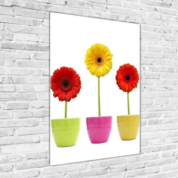 Cuadro decorativo en acrílico brillante vertical Gerberas de colores