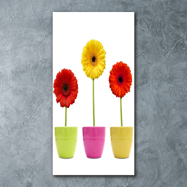 Cuadro decorativo en acrílico brillante vertical Gerberas de colores