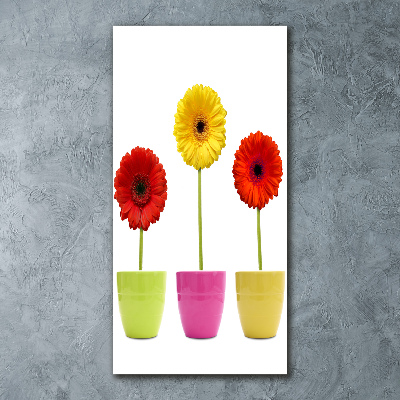 Cuadro decorativo en acrílico brillante vertical Gerberas de colores