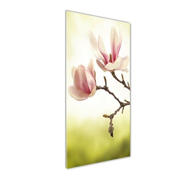 Cuadro de metacrilato vertical flores de magnolia