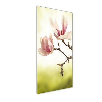 Cuadro de metacrilato vertical flores de magnolia