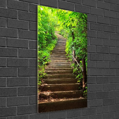 Cuadro decorativo en acrílico brillante vertical Escaleras al bosque