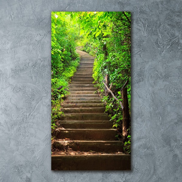 Cuadro decorativo en acrílico brillante vertical Escaleras al bosque