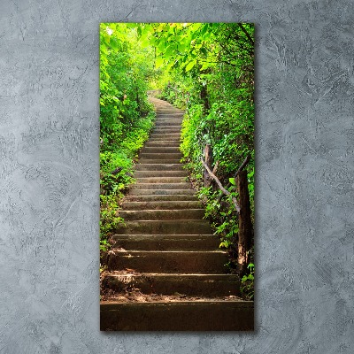 Cuadro decorativo en acrílico brillante vertical Escaleras al bosque