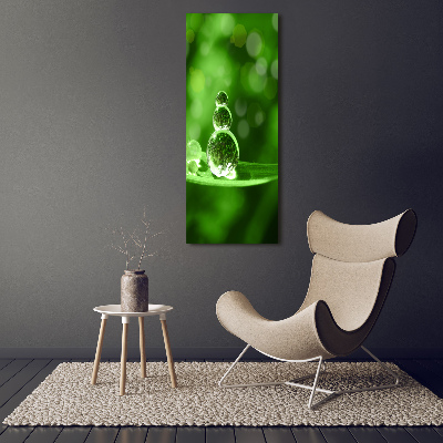 Cuadro de metacrilato moderno efecto cristal vertical Gotas sobre la hierba