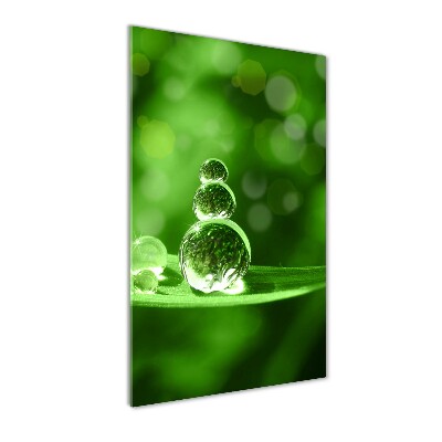 Cuadro de metacrilato moderno efecto cristal vertical Gotas sobre la hierba