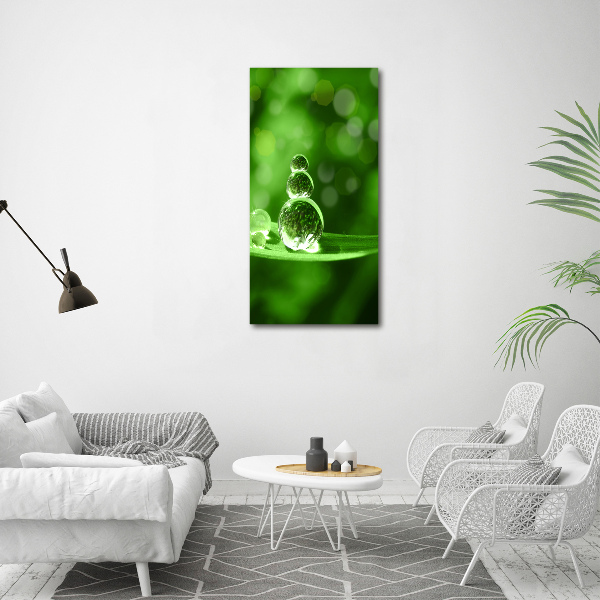 Cuadro de metacrilato moderno efecto cristal vertical Gotas sobre la hierba