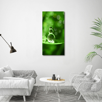 Cuadro de metacrilato moderno efecto cristal vertical Gotas sobre la hierba