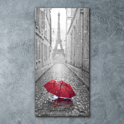 Cuadro de metacrilato vertical Paraguas Francia