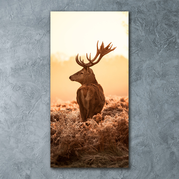 Cuadro decorativo en acrílico brillante vertical Amanecer de ciervos