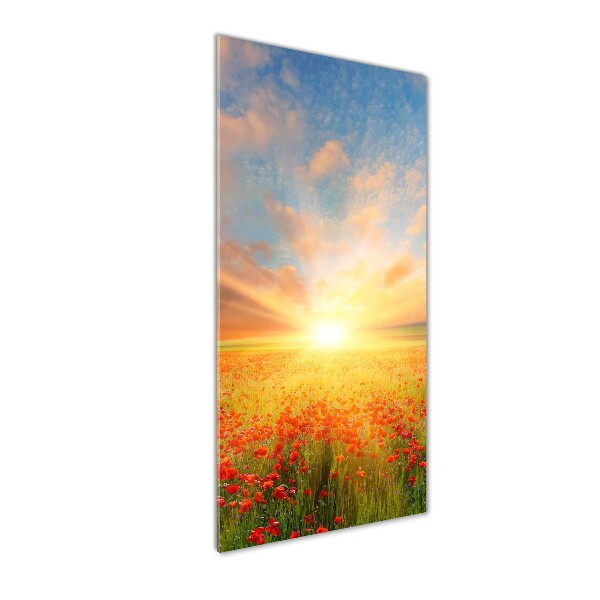 Cuadro decorativo en acrílico brillante vertical Campo de amapolas