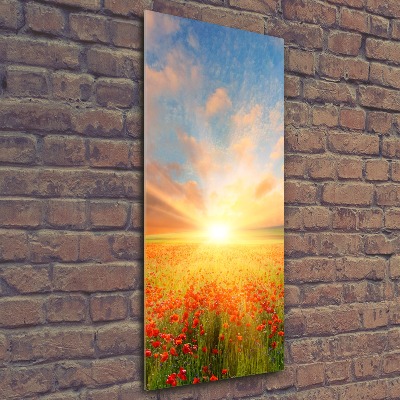 Cuadro decorativo en acrílico brillante vertical Campo de amapolas