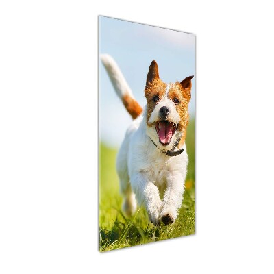 Cuadro de metacrilato moderno efecto cristal vertical perro Jack Russell