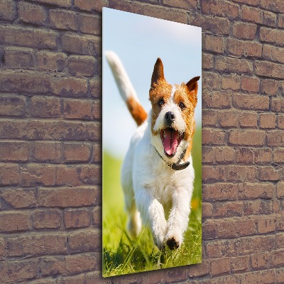 Cuadro de metacrilato moderno efecto cristal vertical perro Jack Russell