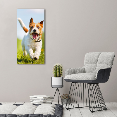 Cuadro de metacrilato moderno efecto cristal vertical perro Jack Russell