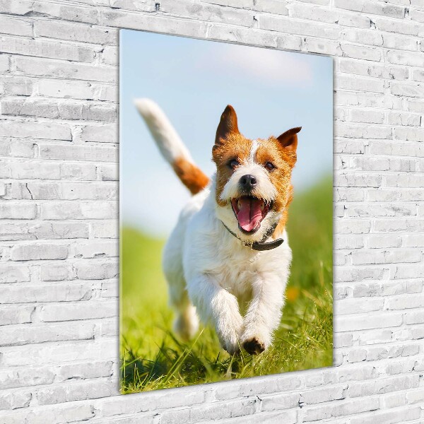 Cuadro de metacrilato moderno efecto cristal vertical perro Jack Russell