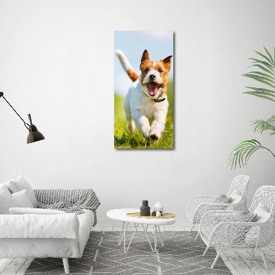 Cuadro de metacrilato moderno efecto cristal vertical perro Jack Russell